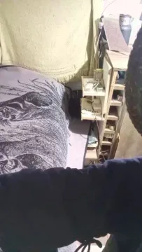 Asasass zdarma živé xxx cams