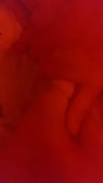 Collarncuffs69x kostenlose live xxx cams