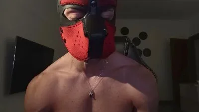 Frabroker 무료 라이브 xxx 캠