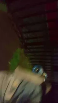 Fsst4 ücretsiz canlı xxx cam