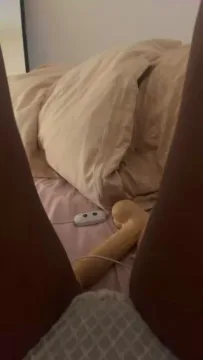 Ladamenuance1 free live xxx cams