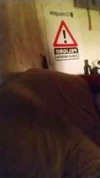 Luchociampo zdarma živé xxx cams