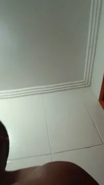 Negaodorio21 zdarma živé xxx cams