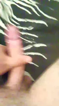 Niko99 δωρεάν live xxx cams