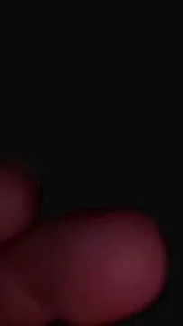 NovaLane free live xxx cams