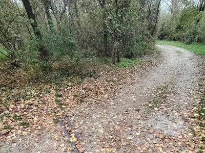 Ragerl ingyenes élő xxx cams
