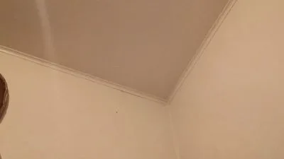 Shyredhead26 free live xxx cams
