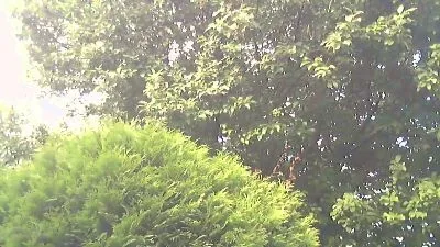 Steamjocky777 kostenlose live xxx cams
