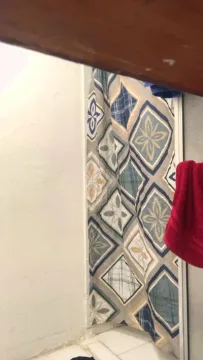 Stingpollo123 free live xxx cams