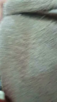 Yasminrafaele6 무료 라이브 xxx 캠