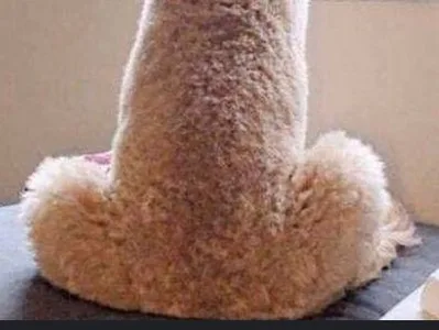 dickart01 cam xxx trực tiếp miễn phí