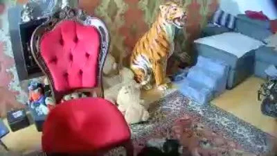 graublau1 δωρεάν live xxx cams