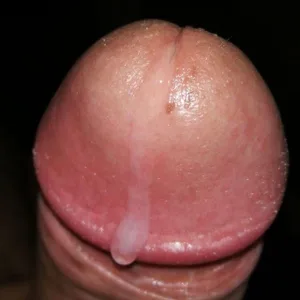 penegordocam free live xxx cams