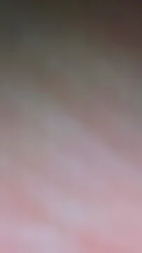 q2to free live xxx cams