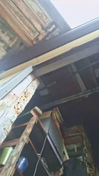 thompson3 ingyenes élő xxx cams