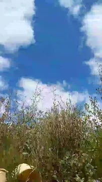 uuuaaa0 free live xxx cams
