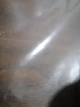 ALEX-BHASHI2 free live xxx cams