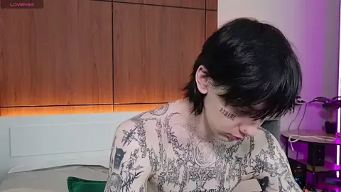 AmberCore 무료 라이브 xxx 캠