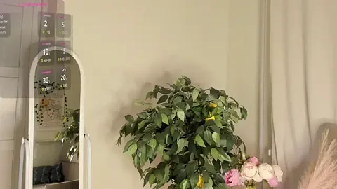 Amelia_Bliss zdarma živé xxx cams