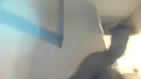 Andrei_maestro free live xxx cams