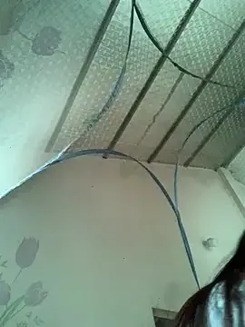 Cham-py free live xxx cams