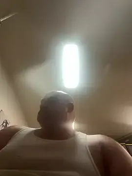 Curiousguy4444 free live xxx cams
