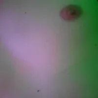 Dorfy12 free live xxx cams