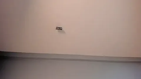 Eva_bigboobs free live xxx cams