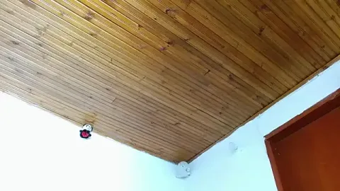 Evolettee_______ ücretsiz canlı xxx cam