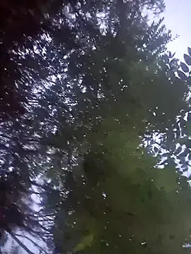 Jayhaze 免费直播 xxx 摄像头
