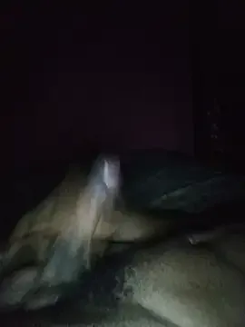 Lavaboss free live xxx cams