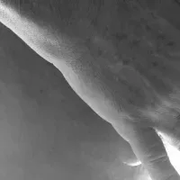 MARCO_NI free live xxx cams