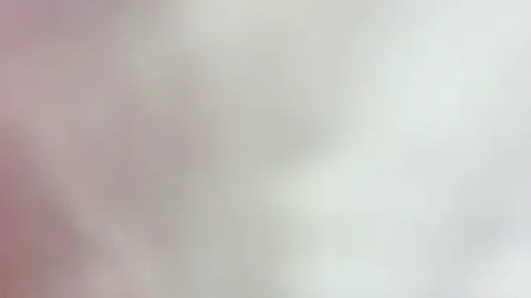 MasterrKittyy free live xxx cams
