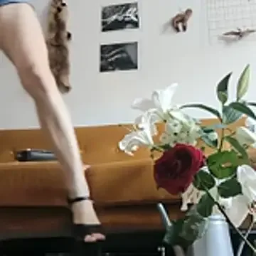 MissssEva free live xxx cams