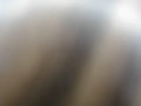 Mitika1 free live xxx cams