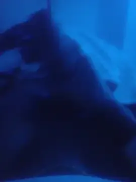 MrBigBlackCockxxx free live xxx cams