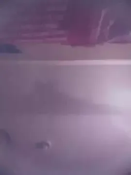 NegatedTomahawk free live xxx cams
