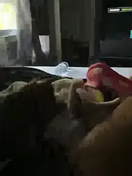 Nephew74 free live xxx cams