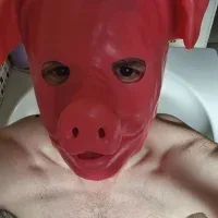 PigSlut- free live xxx cams
