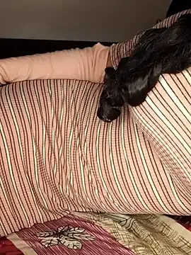 Sexybhbhi free live xxx cams