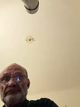ShyDave81 免费直播 xxx 摄像头