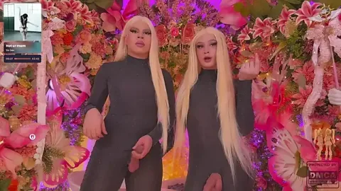 SpicySluts 무료 라이브 xxx 캠