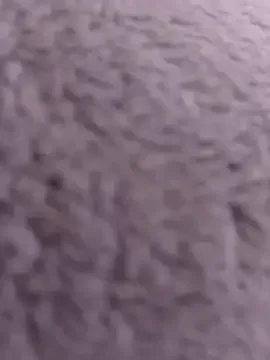 Toun0716 ingyenes élő xxx cams