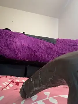 _MiaX zdarma živé xxx cams