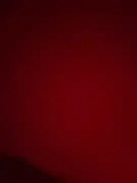 anonvegasbtm free live xxx cams