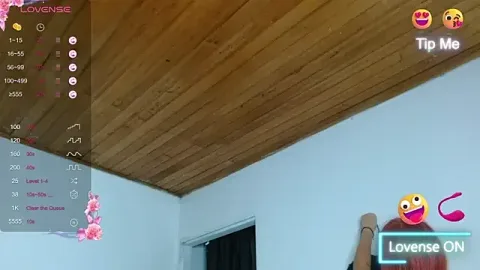 aria_rm free live xxx cams