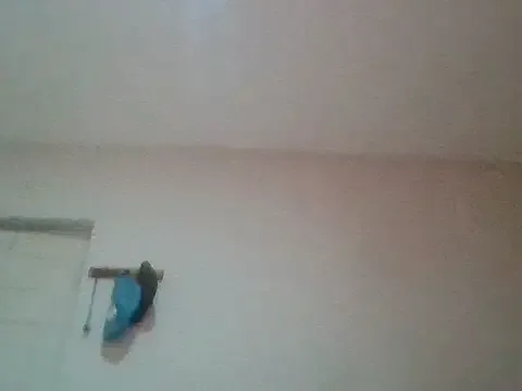 bafeng free live xxx cams