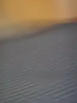 beststripy zdarma živé xxx cams