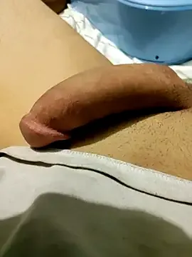 bobstrongdong free live xxx cams