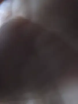 cemalaslan free live xxx cams
